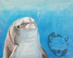 Dolphin water