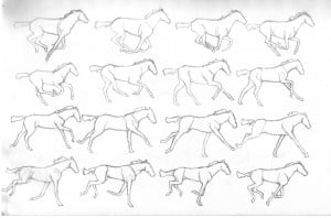 Running horses