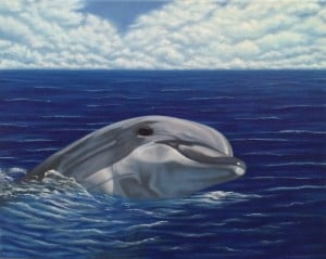 dolphin2