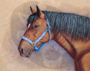 Horse_new_Large