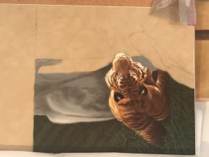 IMG_0461