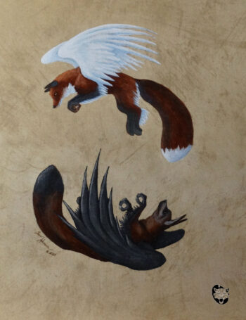 Hovering in the air, these two enfields create balance and peace. A
classic Red Fox Enfield and one of my own creation, the Bat Eared Fox Enfield, circle one
another. Dark and Light, Ying and Yang, I tried to capture this sense with completely unique
fantasy creatures. Painting in India ink it measures approximately 11”x 15”. The original is for
sale for $500.