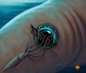 My version of one of the largest sea monsters: the Kraken! A baby
kraken is practicing destroying a ship with supervision, of course. The Kraken was
a mythical creature from Norway and other countries. Today it is believed the
Kraken's origins may have come from the real giant squid or colossal octopus. It
was painted digitally and is available in a variety of print sizes. Kraken Practice