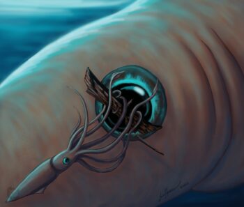 My version of one of the largest sea monsters: the Kraken! A baby
kraken is practicing destroying a ship with supervision, of course. The Kraken was
a mythical creature from Norway and other countries. Today it is believed the
Kraken's origins may have come from the real giant squid or colossal octopus. It
was painted digitally and is available in a variety of print sizes. Kraken Practice