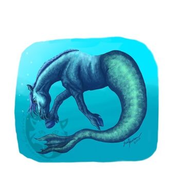 Hippocampus (Sea Horse)