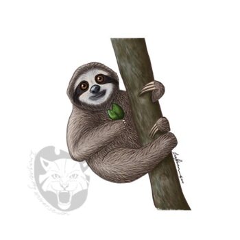 Snacking Sloth