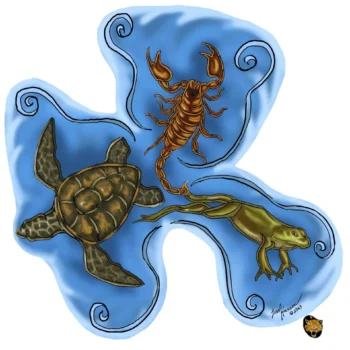 The fable the scorpion and the frog originates in Russia. A
precursor to this fable is a Persian fable about the scorpion and the
turtle. Both fables have the moral of the story being that vicious people
can't help but hurt others even if it doesn't benefit them. Here is my
design showing both versions with animals. The Scorpion, Frog, and Turtle