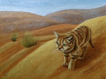 Ghost of the Desert