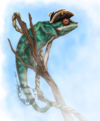 There was the western gang, now introducing the Pirate lizards. The captain Pirate Meleon is the leader of the crew. I felt like colorful lizards didn't quite fit the cowboy desert look. So now there is going to be a pirate crew. This is the first one the Captain of the crew. It was painted digitally and is available in a variety of prints. Pirate Meleon