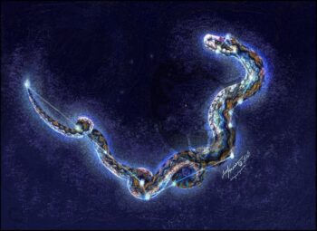 Serpens of Stars