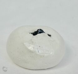 Barely Hatching  (Hognose Hatchling series)